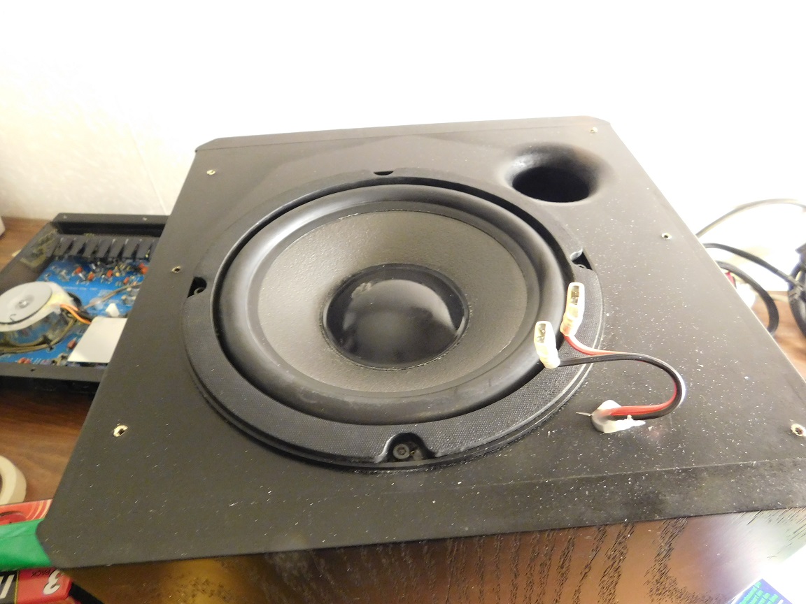 AMC ACE-Bass Subwoofer B1-20  dustcap limmad small.jpg