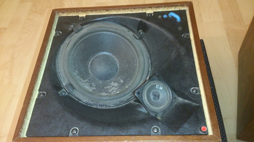 DSC_0204.JPG