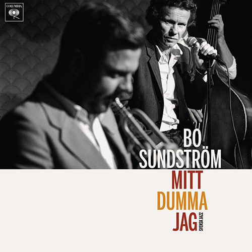 mitt_dumma_jag.jpg
