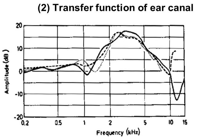 transfer_function_of_ear_canal.png