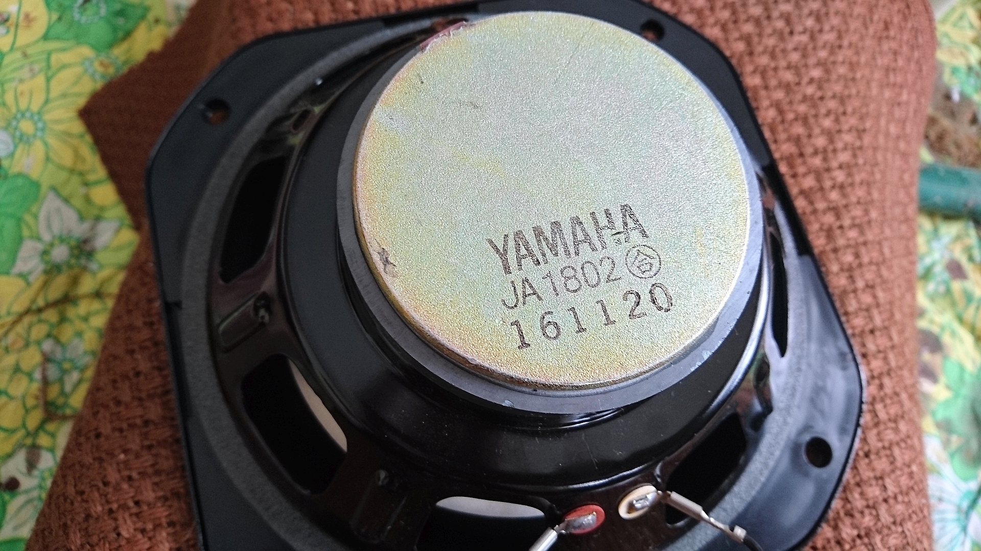 yam1.jpg