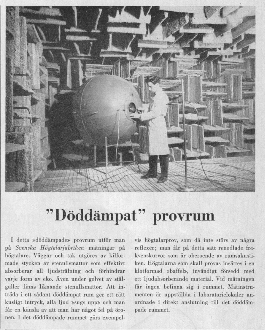 Sinus provrum.JPG