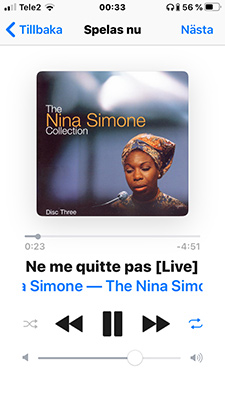 ninas.jpg