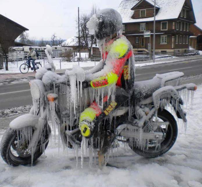 Biking_in_Sweden.jpeg