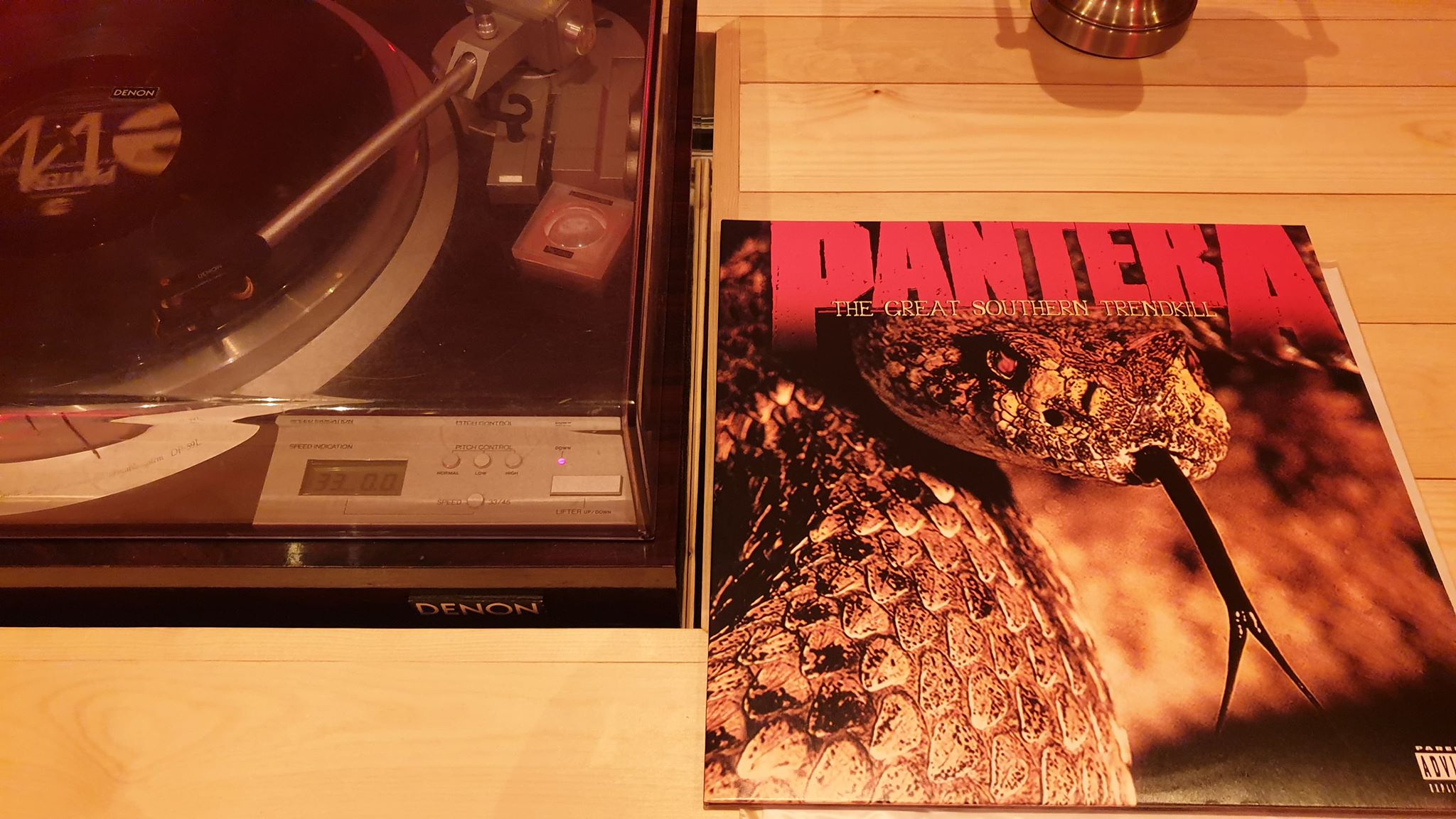 pantera.jpg
