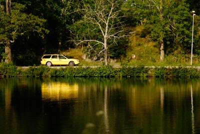 gul4344 2.jpg