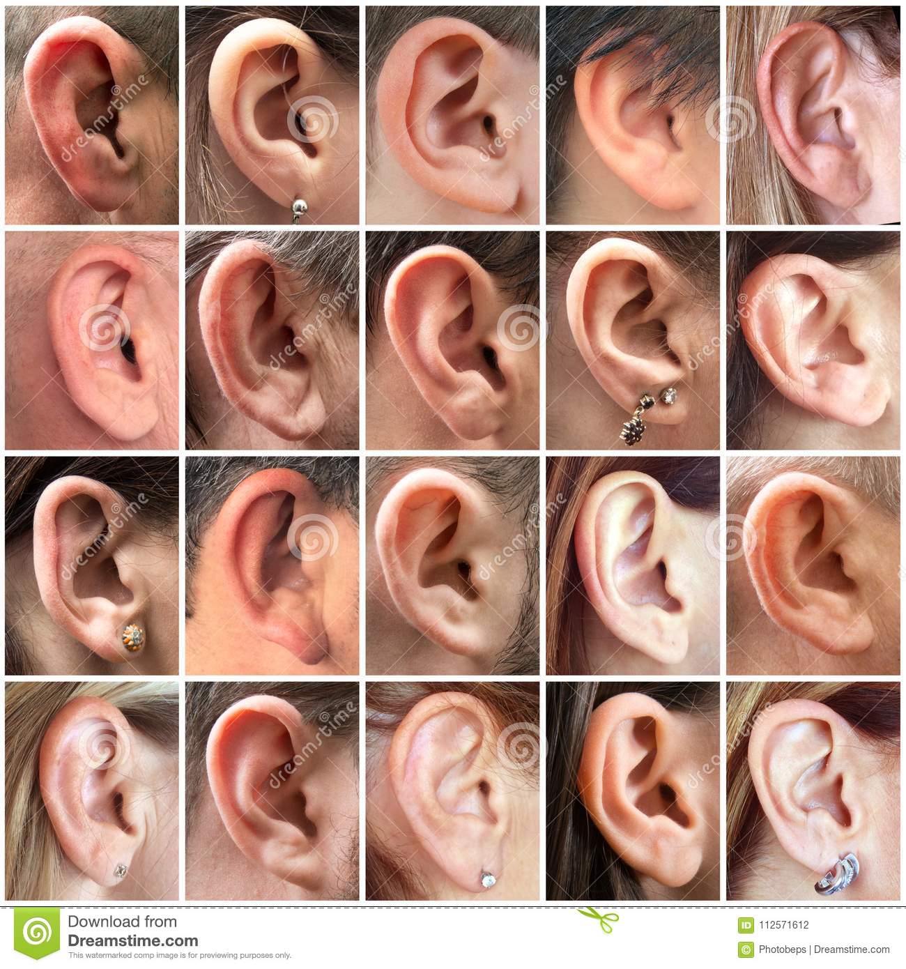 collection-images-human-ears-images-human-ears-collage-112571612.jpg