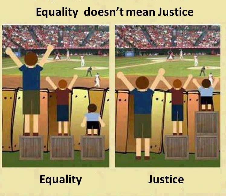 Equality doesn't mean justice.jpg