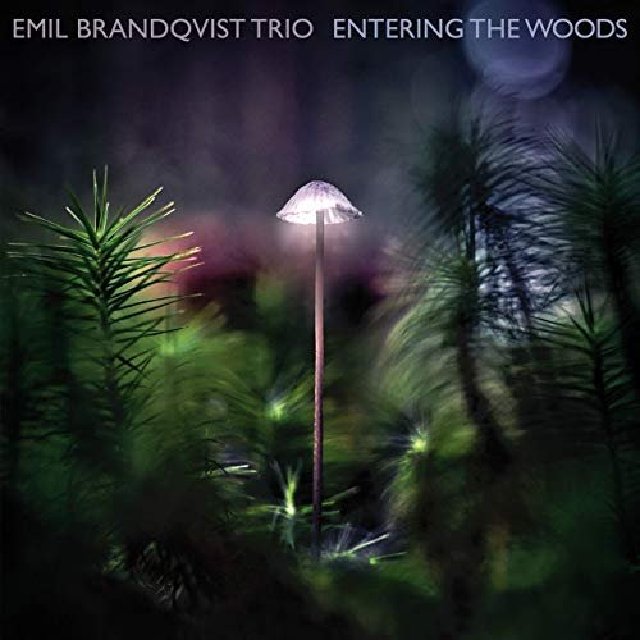 Emil B Trio.jpg