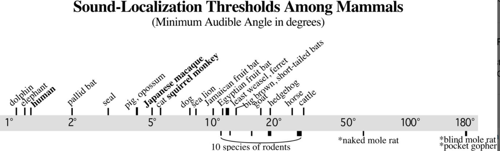 7AA58A7F-CC80-4DD4-949B-FFA53EAA235C.png