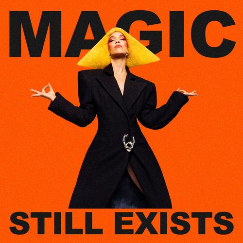 magicagnes.jpg