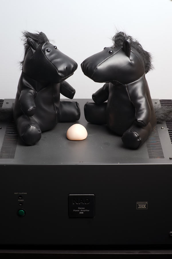 9840_hifihorse.jpg
