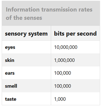 Sense-bitrate.png