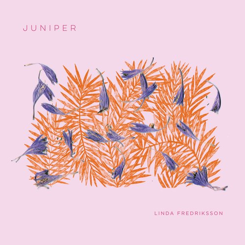 juniper.jpg