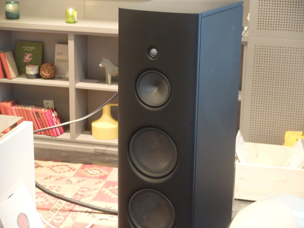 DSCF3761 (Medium).JPG