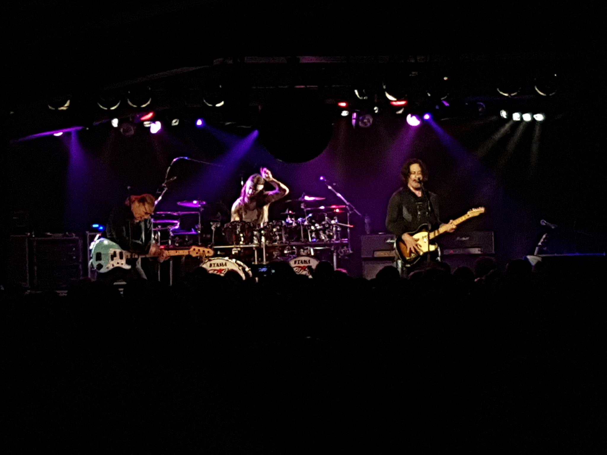 wineryDogs.jpg