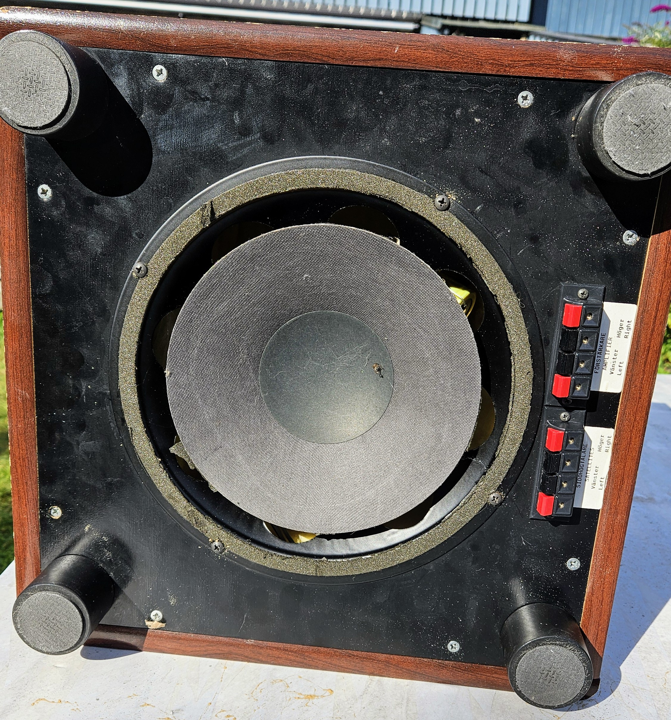 20240813_162349.jpg