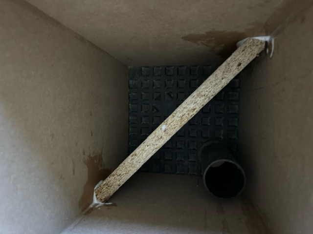 image1.jpeg