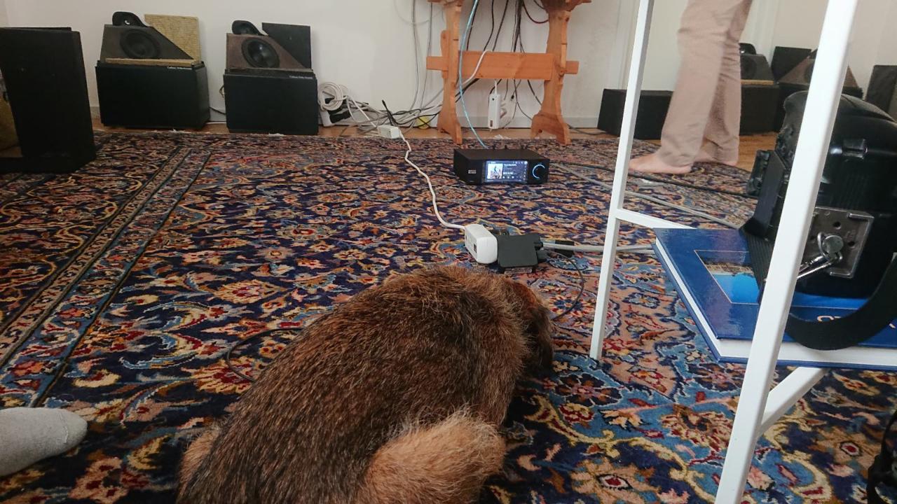 Hifihunden jämför OA-50.2 med 50.LE.JPG