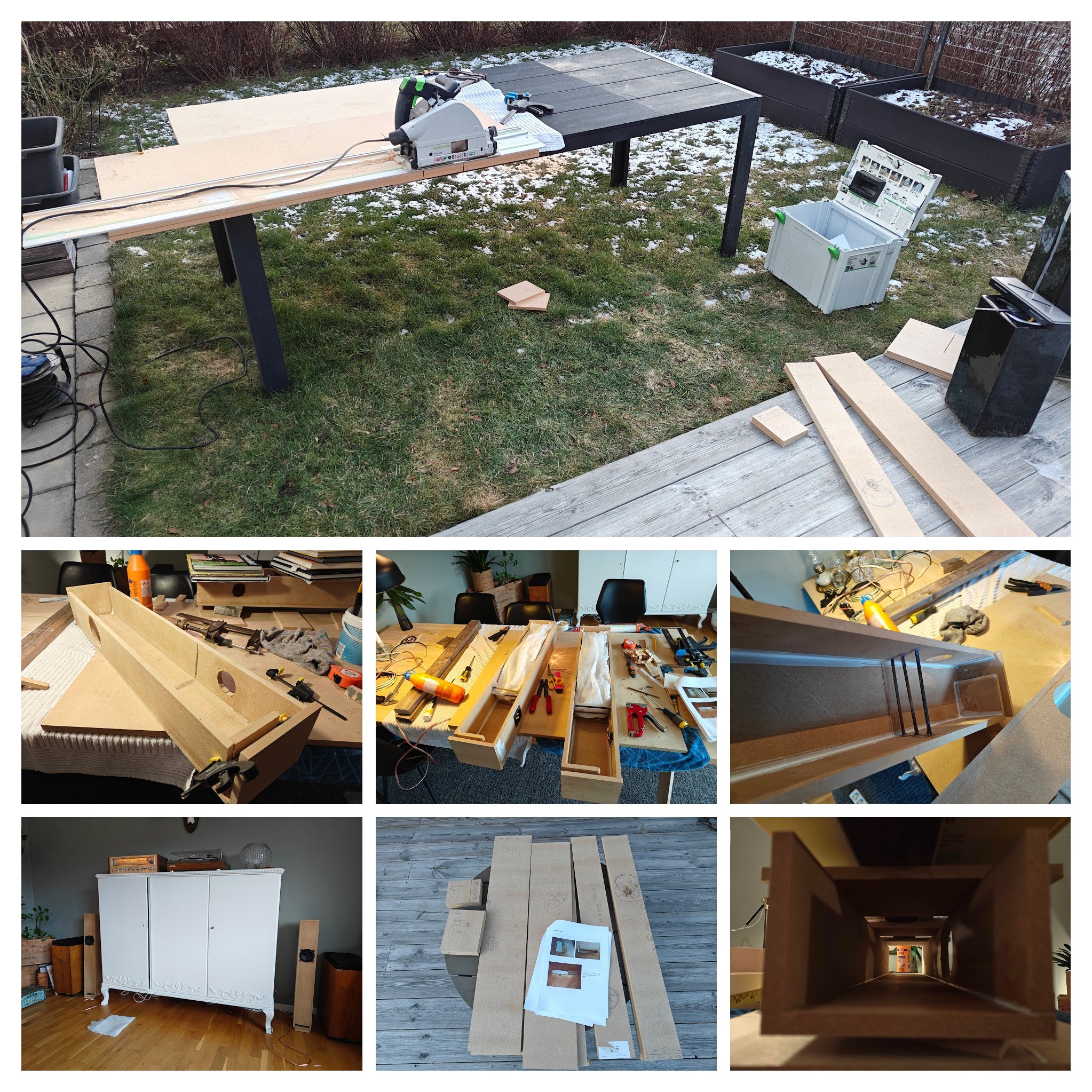 IMG20250220164750-COLLAGE.jpg