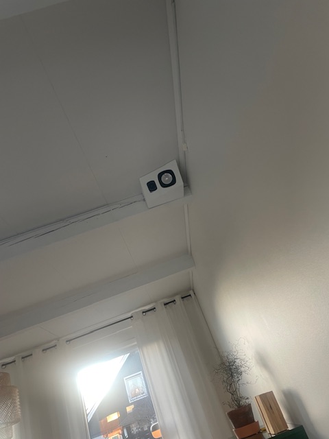 IMG_3826.jpeg
