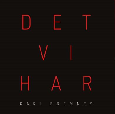 Kari Bremnes - Det vi har.jpg