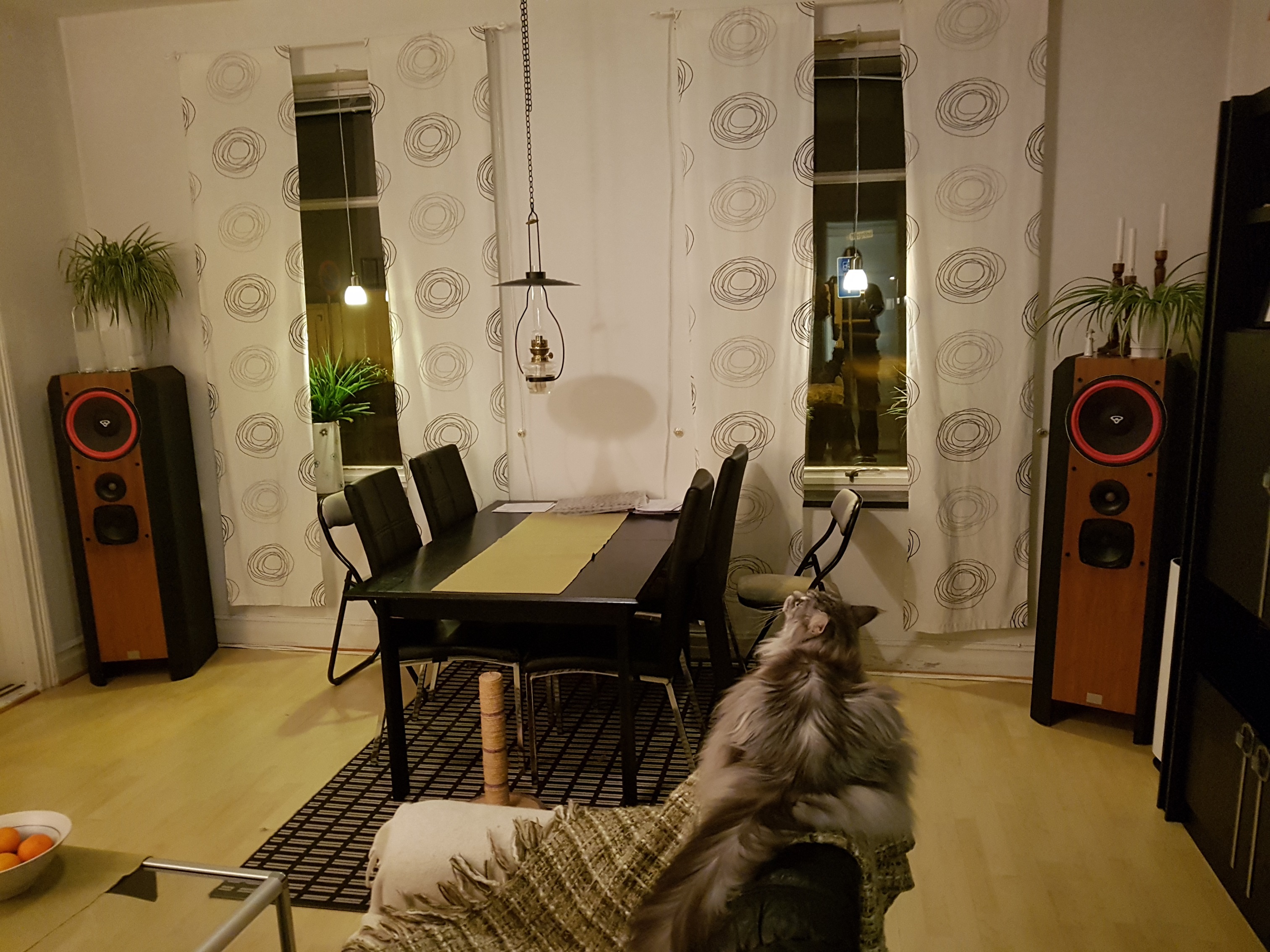 20191119_191640 test.jpg