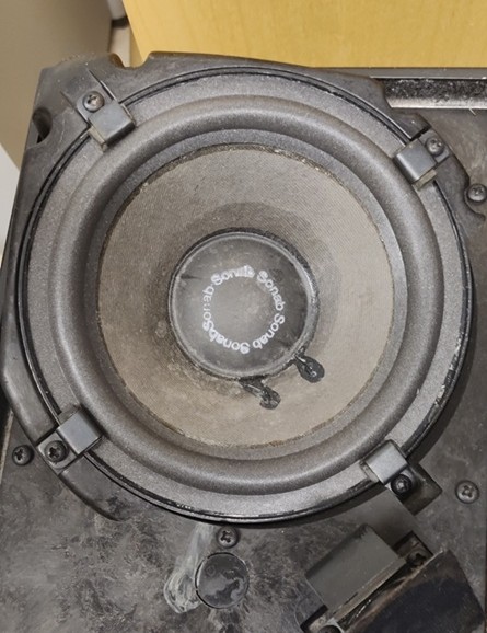 Skumkant F6PeC9.jpg