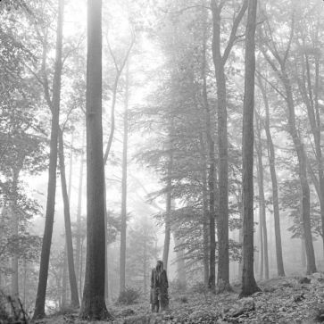 Taylor Swift - Folklore.jpg