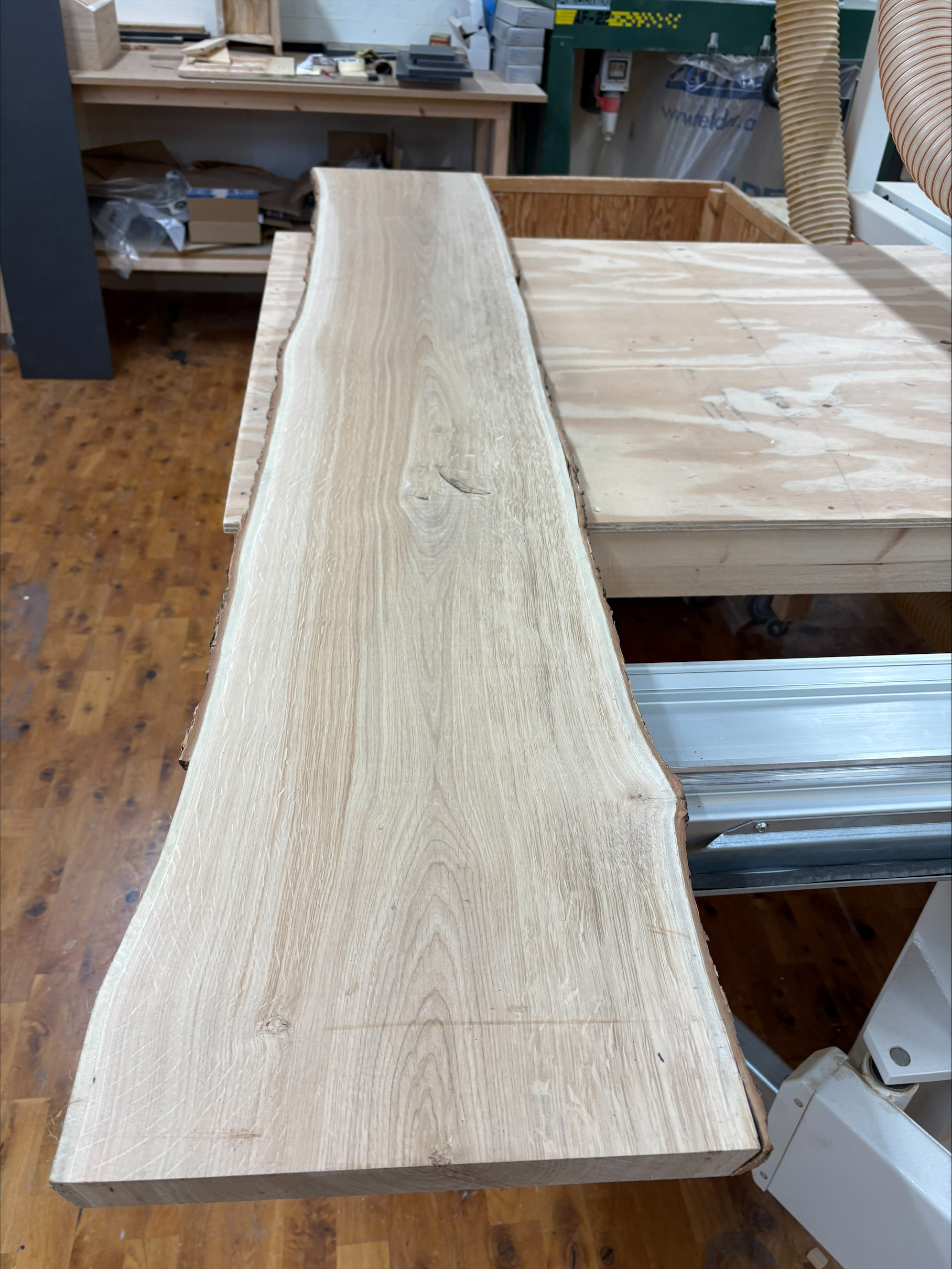 processed-FE149563-13B5-4BD2-85EF-6A1059BCE869 kopiera.jpg